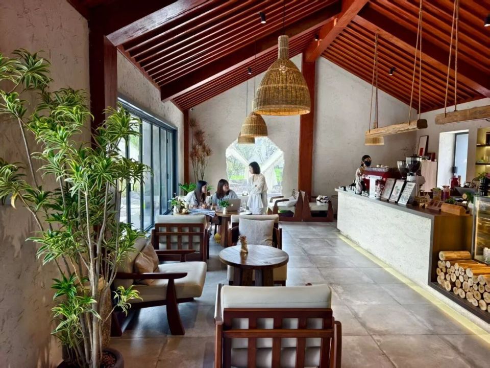 sSwR, 中新茶叶片, 重塑的上海 sSwR, 中新茶叶片, 重塑的上海