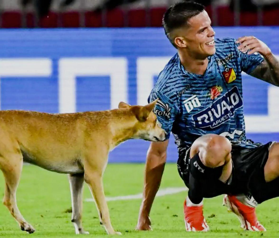 hd, 翻滚的动作 hd, 翻滚的动作