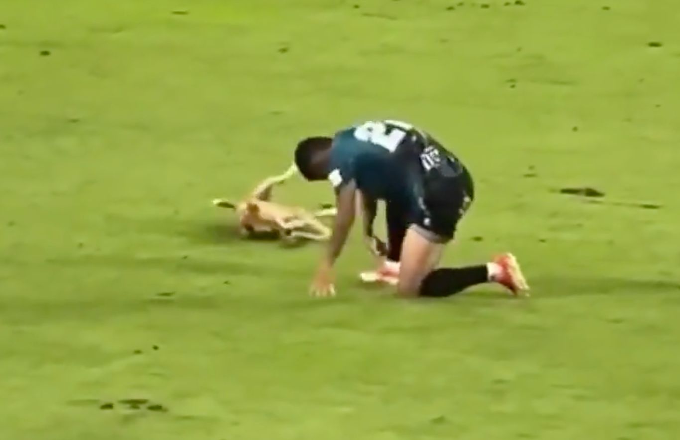 img, 如此灵性十, 现场球迷直 img, 如此灵性十, 现场球迷直